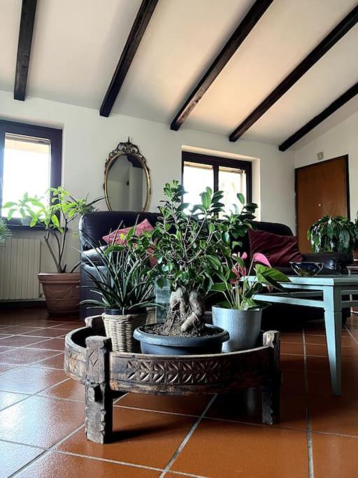 Apartment In Villa La Carruba Rivergaro Εξωτερικό φωτογραφία
