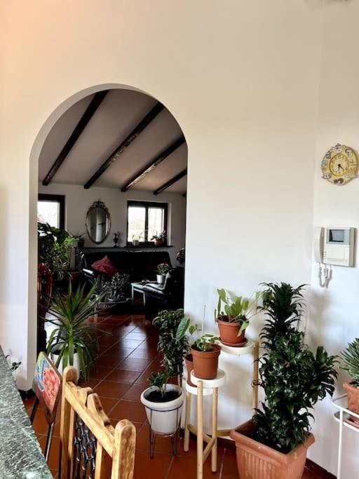 Apartment In Villa La Carruba Rivergaro Εξωτερικό φωτογραφία